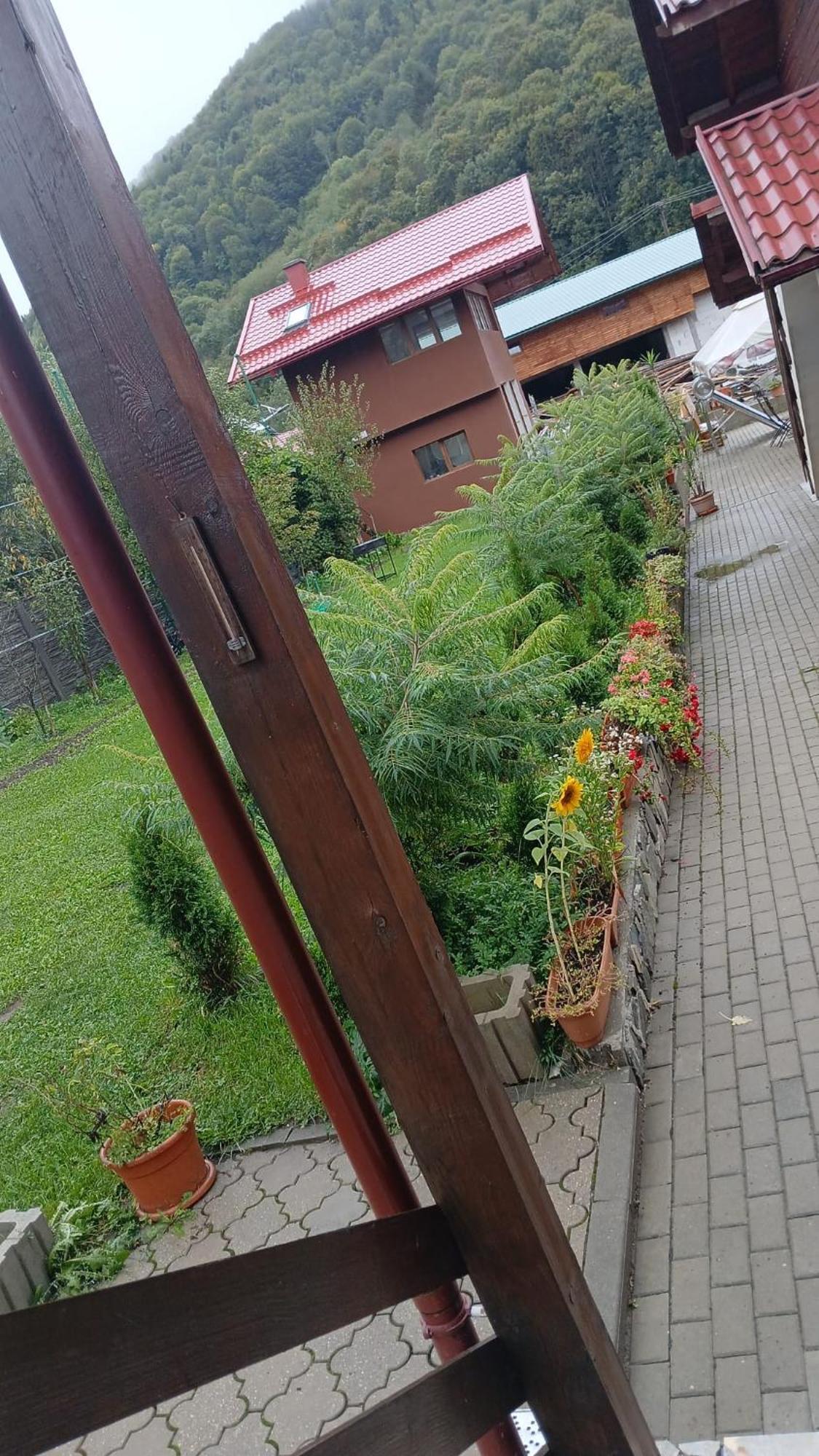 Pensiunea Carmen Bucium  Exteriör bild